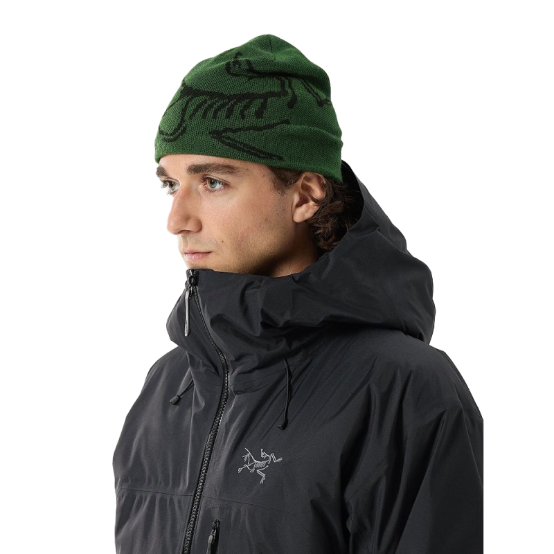 Arc'teryx Bird Head Toque Eden / Black