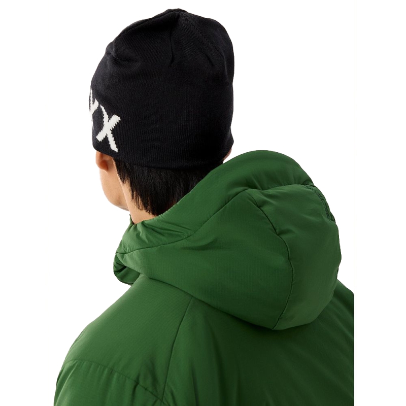 Arc'teryx Word Head Toque Orca