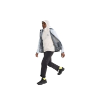 Arc'teryx Atom SL Hoody Arctic Silk/Vitality