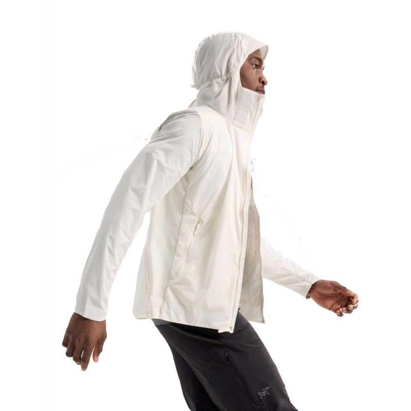 Arc'teryx Atom SL Hoody Arctic Silk/Vitality
