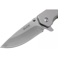 Buck Odessa Stainless RVS