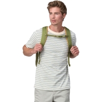 Patagonia Refugio Day Pack 26L Buckhorn Green