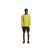 Craft Adv Essence LS Tee 2 Pear