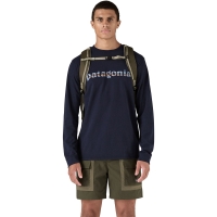 Patagonia Black Hole Pack 25L Basin Green