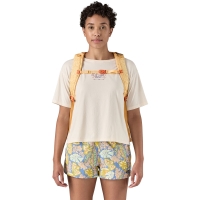 Patagonia Refugio Day Pack 30L Mountain Breeze: Buttercup Yel
