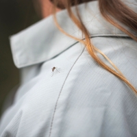Royal Robbins Expedition III L/S Women's Sage Leaf
