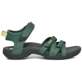 Teva Tirra Women's Sliver Pine