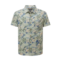 Sherpa Phoenix SS Shirt Celery