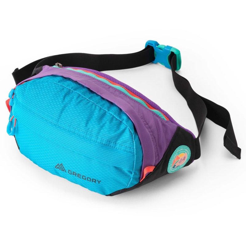 Gregory Nano Waistpack Uh Purple