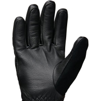 Black Diamond Tour Gloves Black