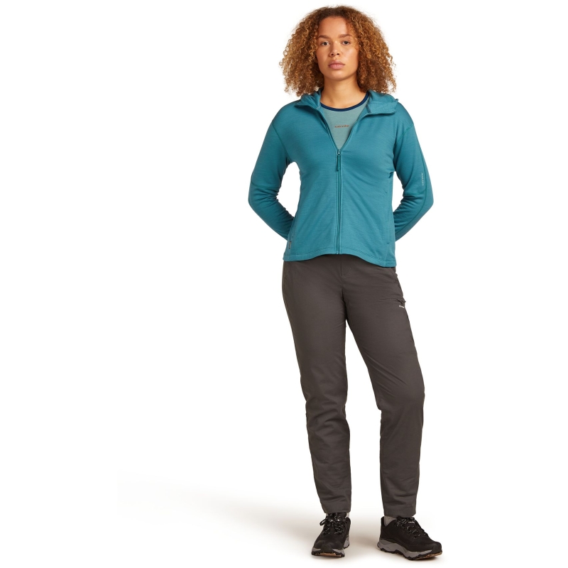 Icebreaker Mer 360 Realfleece Elem LS Z Hood Women's Topaz