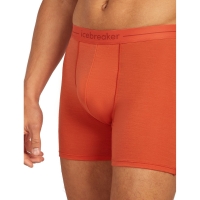 Icebreaker Anatomica Boxers Fervid