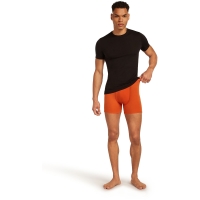 Icebreaker Anatomica Boxers Fervid