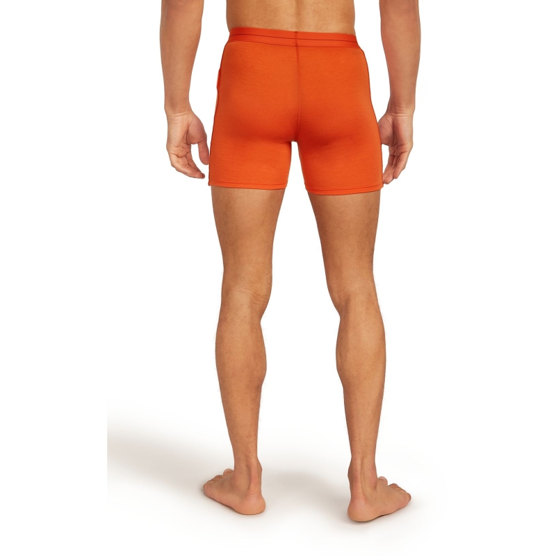 Icebreaker Anatomica Boxers Fervid