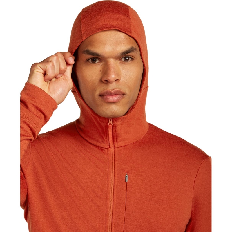 Icebreaker Mer 260 Quantum IV LS Zip Hoodie Agate