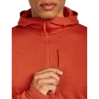 Icebreaker Mer 260 Quantum IV LS Zip Hoodie Agate