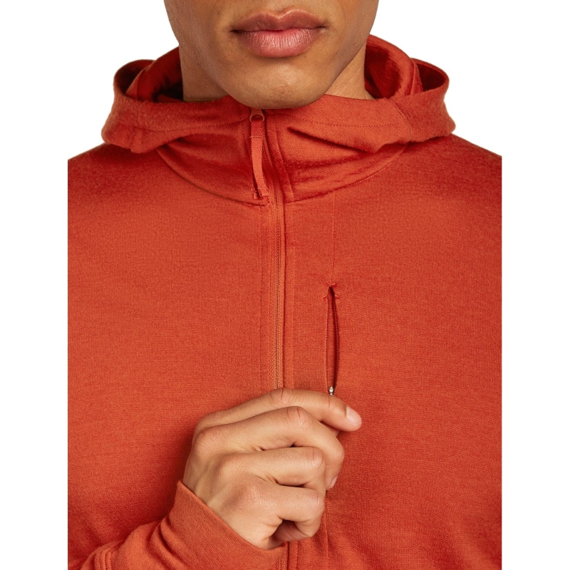 Icebreaker Mer 260 Quantum IV LS Zip Hoodie Agate