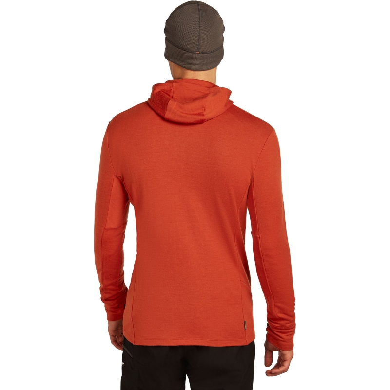 Icebreaker Mer 260 Quantum IV LS Zip Hoodie Agate