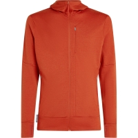 Icebreaker Mer 260 Quantum IV LS Zip Hoodie Agate