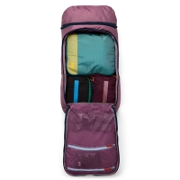 Cotopaxi Allpa 50L Adventure Travel Pack Fig