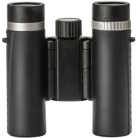Bynolyt Lark 10x25