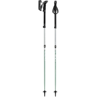 Leki Makalu FX TA Compact Silver/Greygreen/White