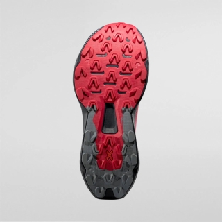 La Sportiva Prodigio 2 Woman Limestone/Azalea