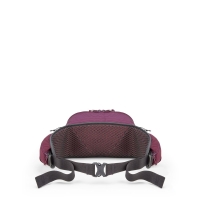 RAB Protium 6 Mulberry