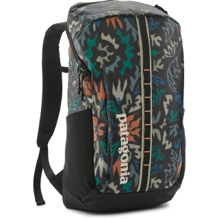Patagonia Black Hole Pack 25L Kaleido: Black