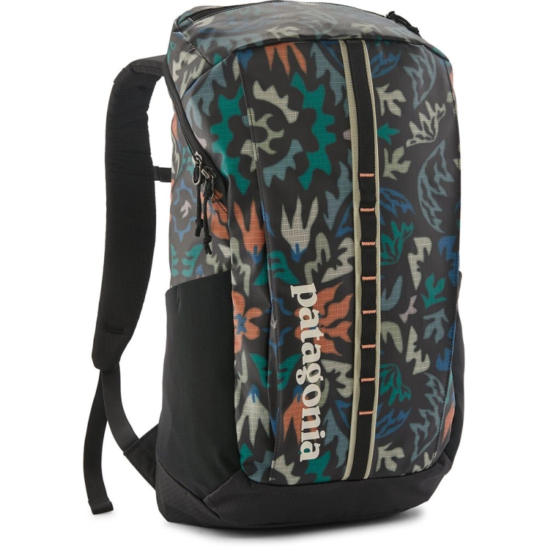 Patagonia Black Hole Pack 25L Kaleido: Black