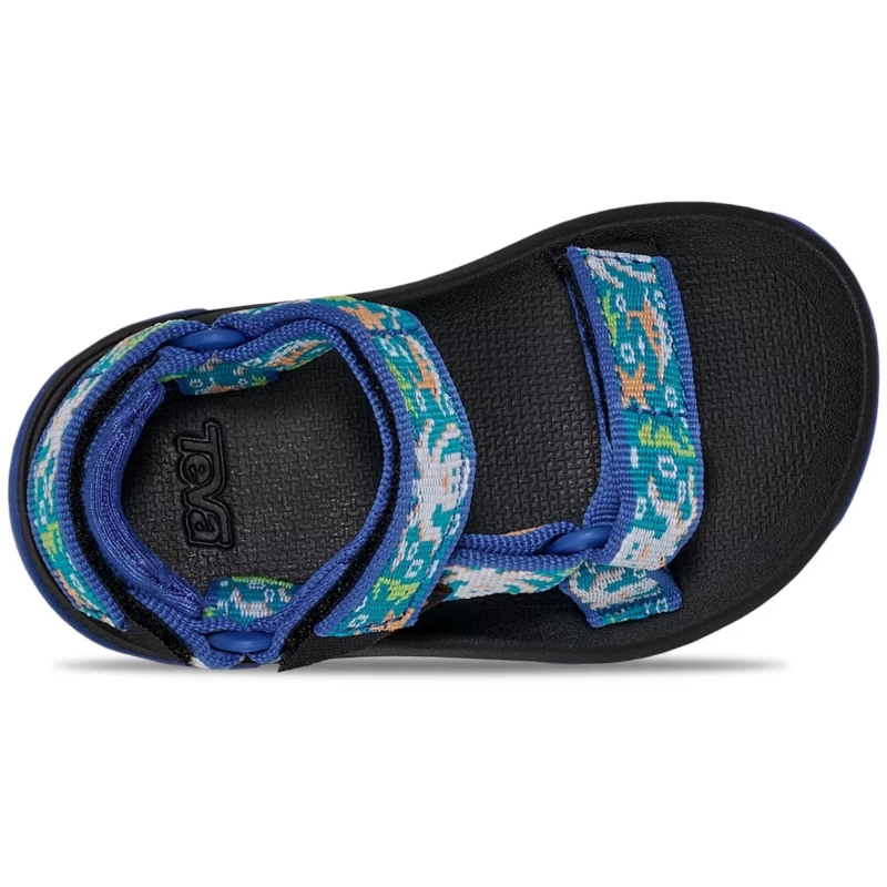 Teva Hurricane XLT Todlers Ocean Creatures Dazzling Blue kinder sandaal