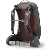 Gregory Juno 30 Torch Grey