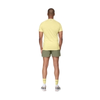 Devold Endurance Merino 130 Tee Frozen