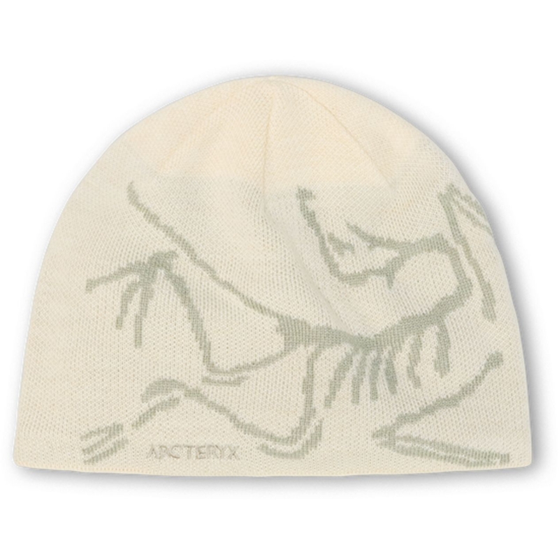 Arc'teryx Bird Head Toque Sea Salt / Habitat