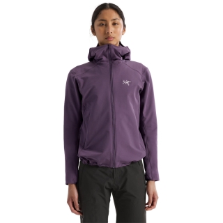 Arc'teryx Gamma Hoody Women's Moondrop