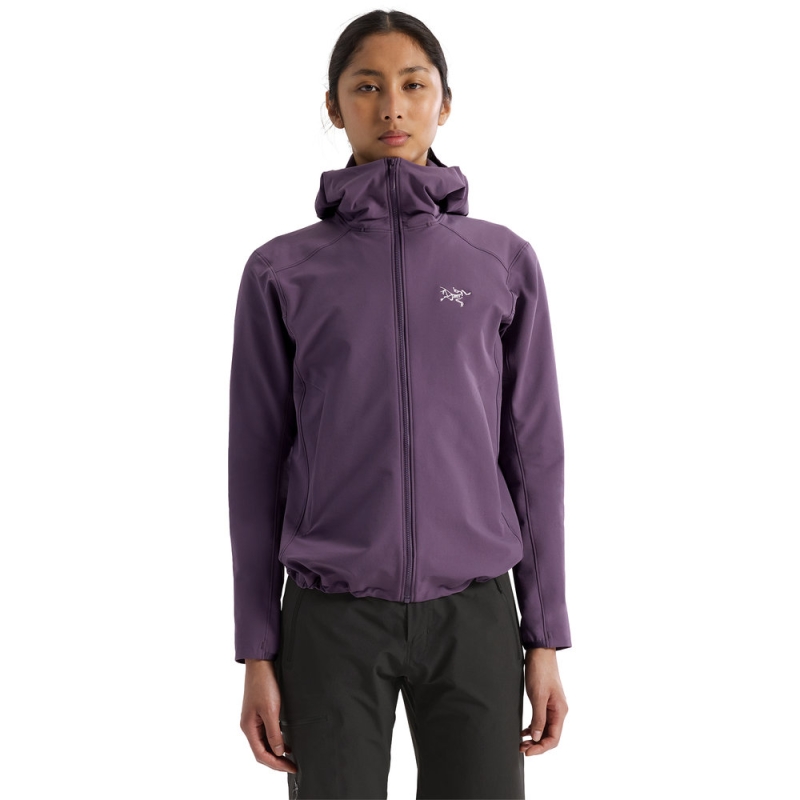 Arc'teryx Gamma Hoody Women's Moondrop