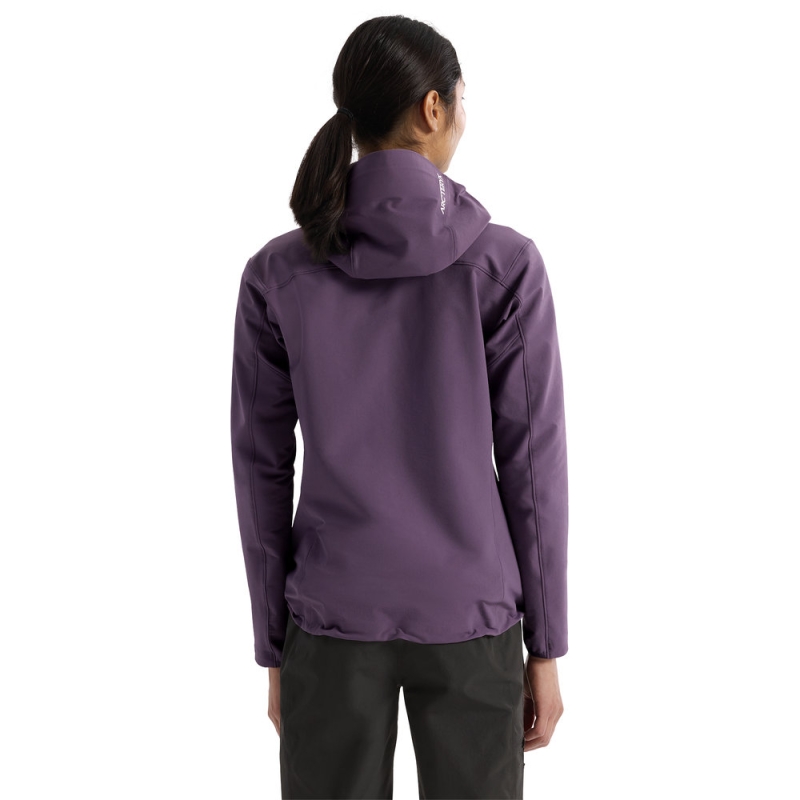 Arc'teryx Gamma Hoody Women's Moondrop