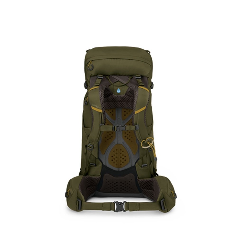 Osprey Kestrel 38 Moss Green