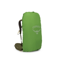 Osprey Kestrel 38 Moss Green