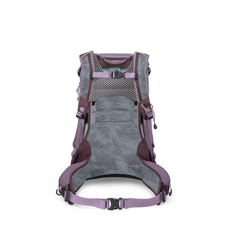Osprey Sirrus 24 Women's Purple Dusk