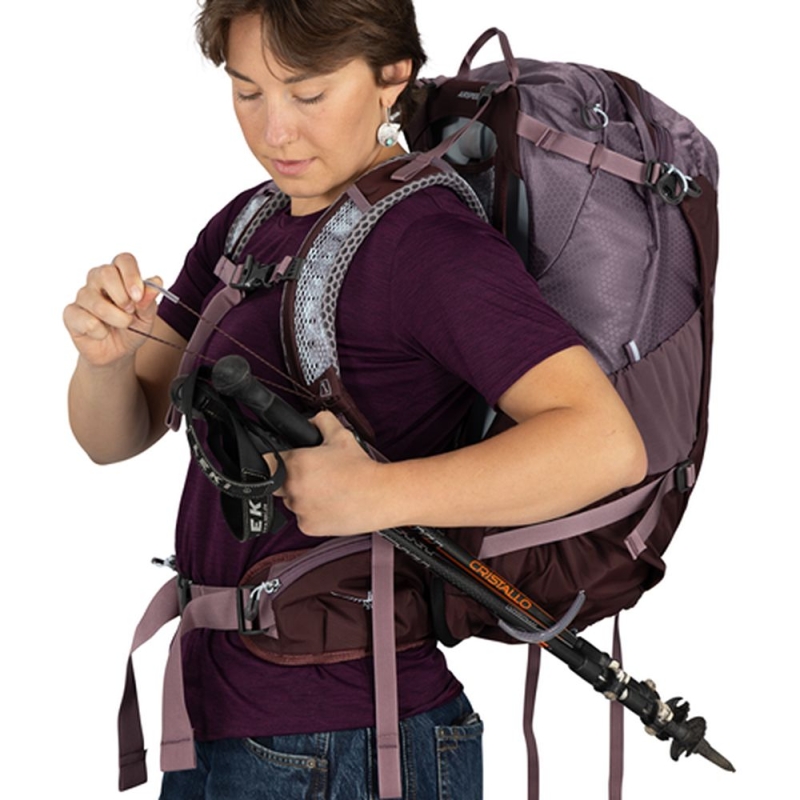 Osprey Sirrus 34 Women's Purple Dusk