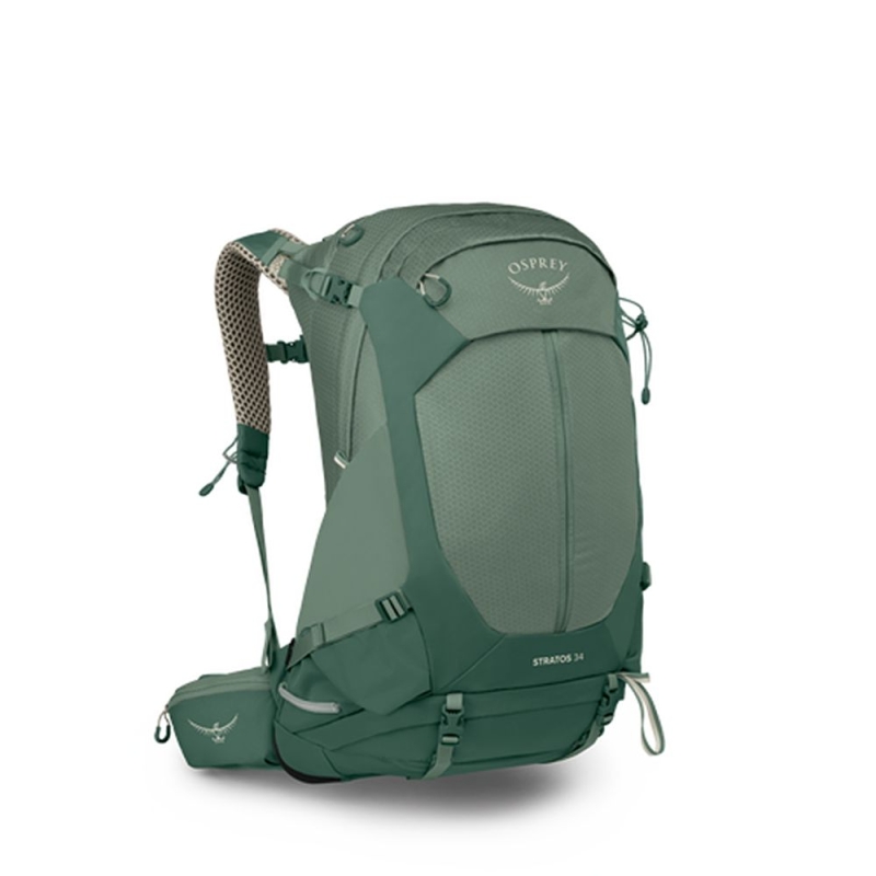 Osprey Stratos 34  Pine Leaf