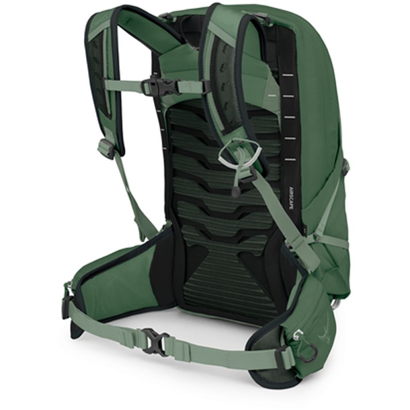 Osprey Talon 11  Green Canopy