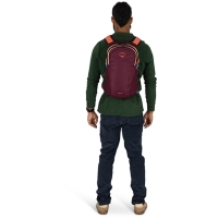 Osprey Daylite  Moody Burgundy