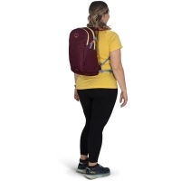 Osprey Daylite  Moody Burgundy