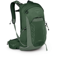 Osprey Talon 22  Green Canopy Pine Leaf