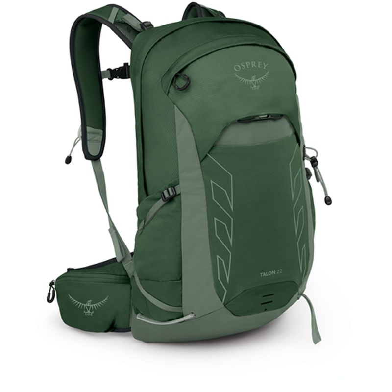 Osprey Talon 22  Green Canopy Pine Leaf