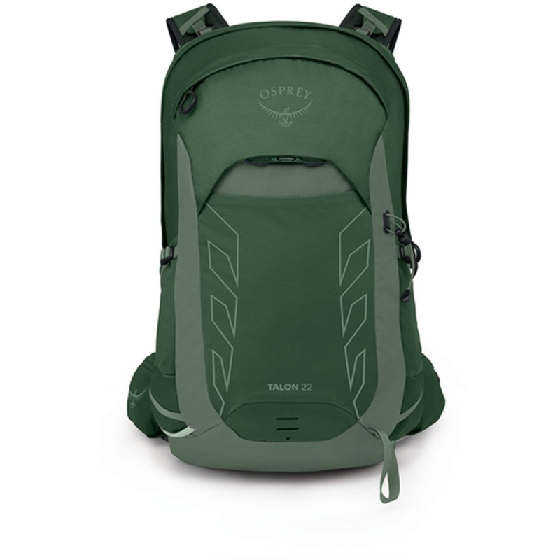 Osprey Talon 22  Green Canopy Pine Leaf