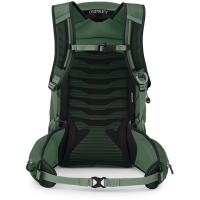 Osprey Talon 22  Green Canopy Pine Leaf