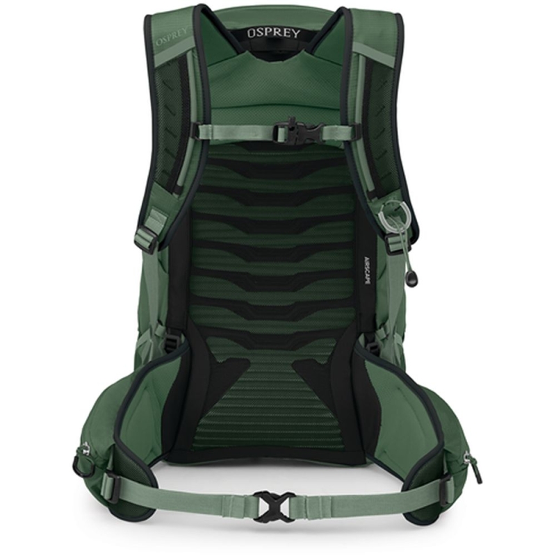 Osprey Talon 22  Green Canopy Pine Leaf